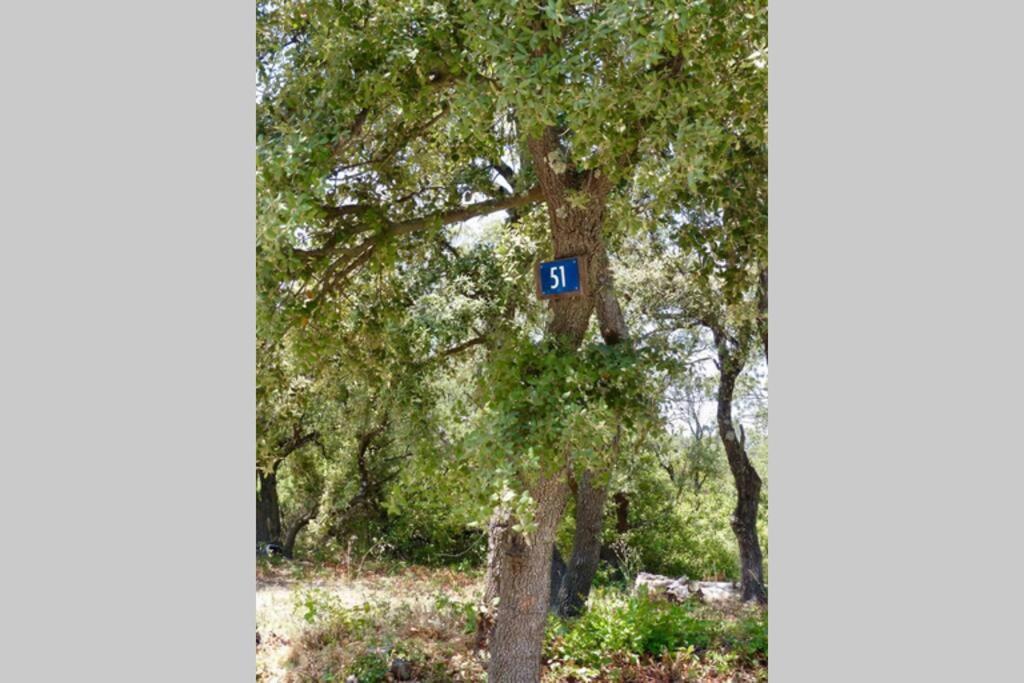 Studio Tudo Bem Villeneuve-lès-Avignon Dış mekan fotoğraf