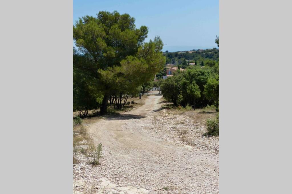 Studio Tudo Bem Villeneuve-lès-Avignon Dış mekan fotoğraf